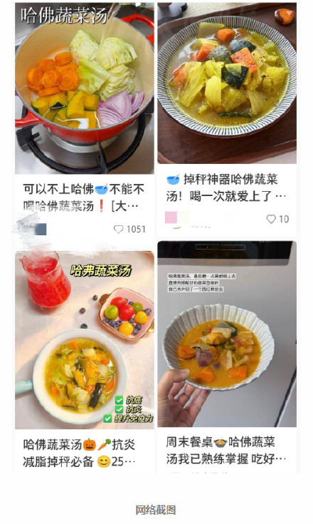 哈佛蔬菜汤本质是水煮菜 营养师提醒：单一食谱难以吃出健康