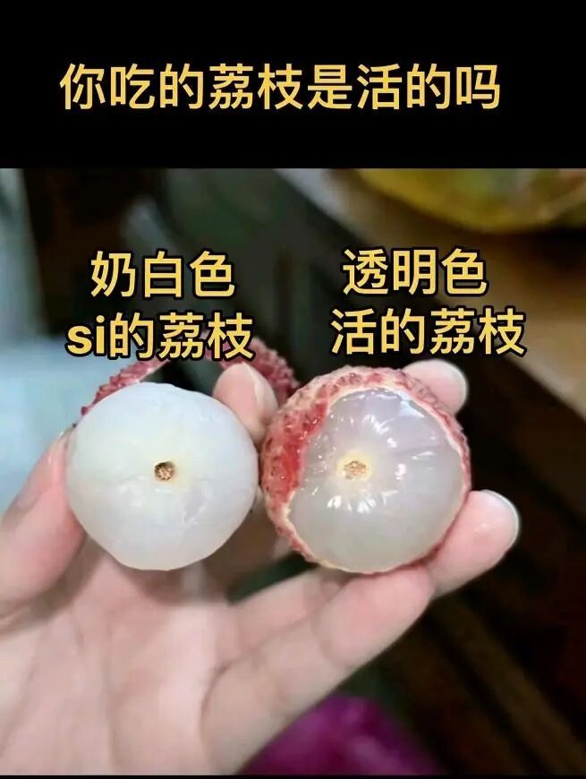 果肉呈乳白色的是“死荔枝”？真相来了