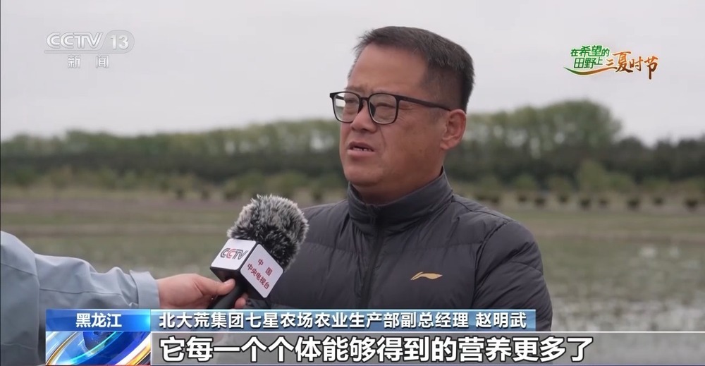 良法良种良机 寒地水稻增产新招让“不可能”成为现实