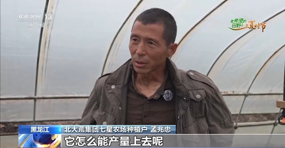 良法良种良机 寒地水稻增产新招让“不可能”成为现实
