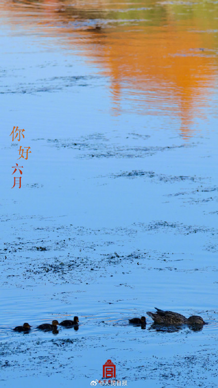 故宫嘎嘎祝你嘎嘎快乐