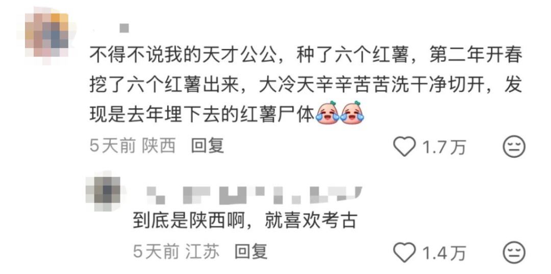 “本人于2026年5月种出了番茄，望周知”