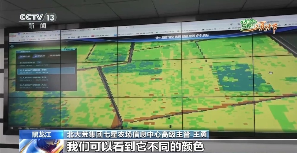良法良种良机 寒地水稻增产新招让“不可能”成为现实