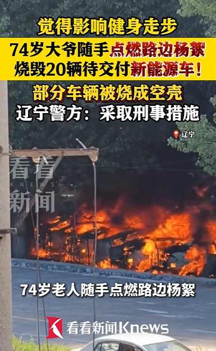 74岁大爷嫌杨絮影响健身走步随手点燃 烧毁路边20辆新能源车 74岁大爷嫌杨絮影响健身走步随手点燃 烧毁路边20辆新能源车