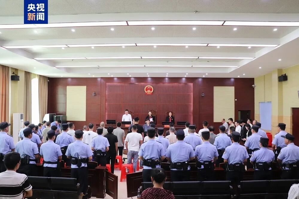 多次纠集人员在国家公园核心区盗伐林木、携带枪支捕猎野生动物食用......26人被判刑！