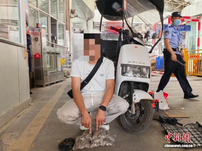 中缅边境瑞丽口岸查获一起野生动物制品走私案件 中缅边境瑞丽口岸查获一起野生动物制品走私案件