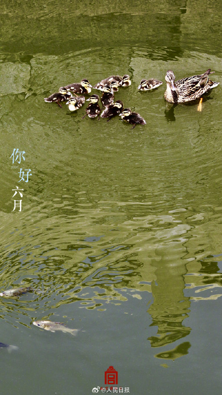 故宫嘎嘎祝你嘎嘎快乐