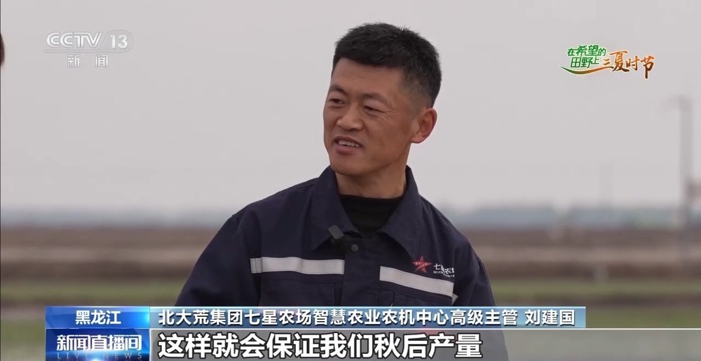 良法良种良机 寒地水稻增产新招让“不可能”成为现实