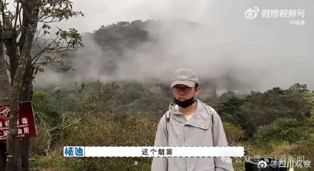 杨迪回应朋友爬山被救护车拉走 杨迪回应朋友爬山被救护车拉走