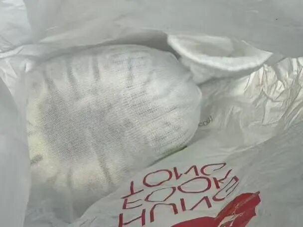 一男子把球蟒放裤子口袋欲入境，被海关拦截！