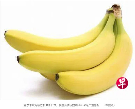 外媒:中东危机恐让香蕉从日本餐桌消失 外媒:中东危机恐让香蕉从日本餐桌消失