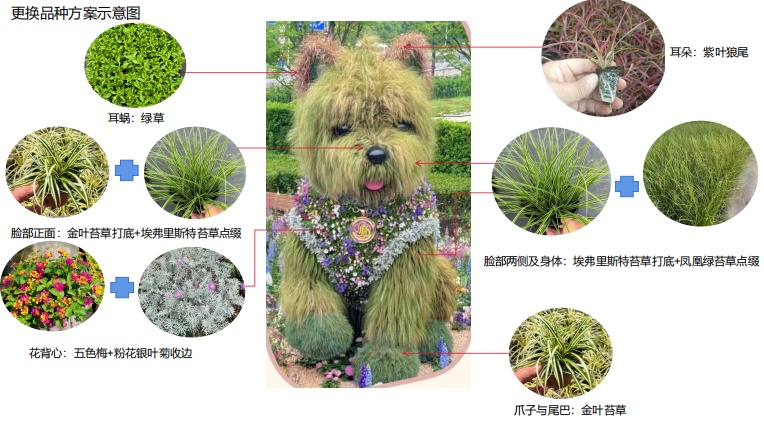 下周换新装!魔都这只火出圈的“潦草小狗”,会变成什么新模样? 下周换新装!魔都这只火出圈的“潦草小狗”,会变成什么新模样?