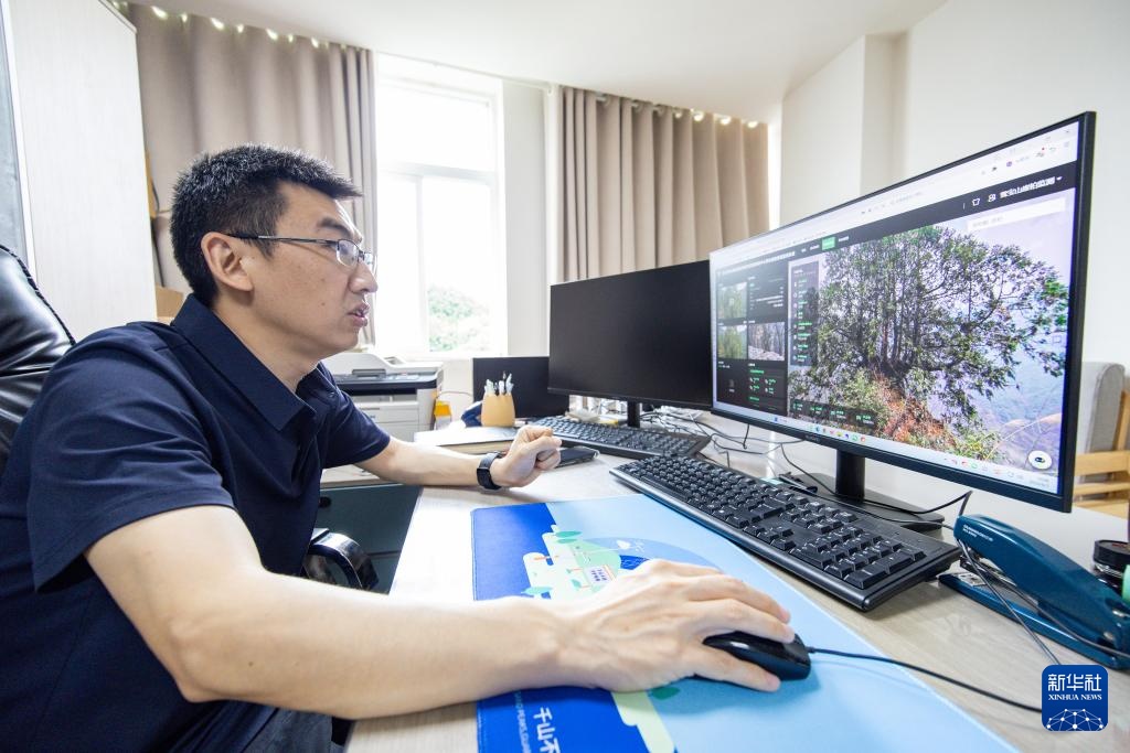 扎根深山——守护三峡珍稀生态本底