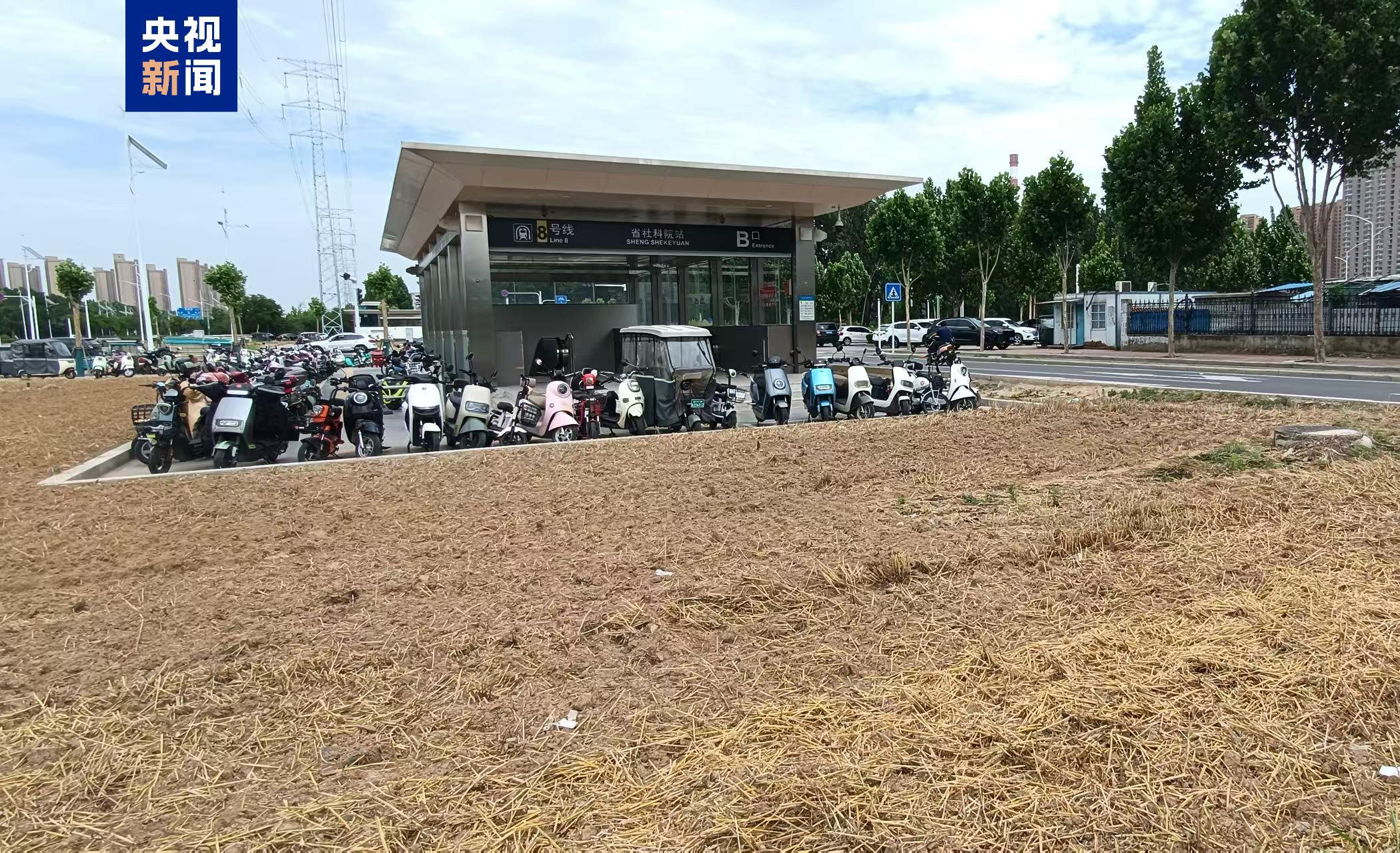 地铁站绿化带变身“麦田”?专家:需明晰空间规划定位 地铁站绿化带变身“麦田”?专家:需明晰空间规划定位