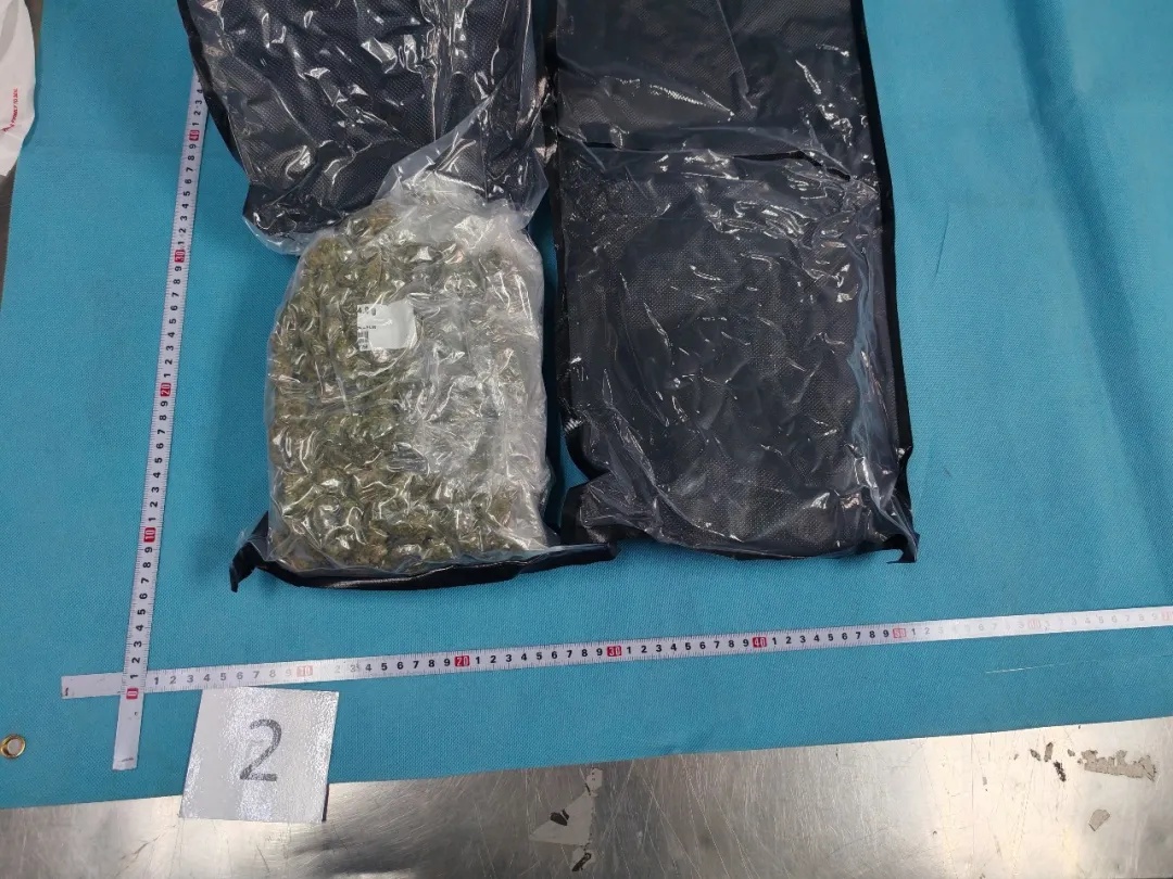 麻没?麻了 麻没?麻了