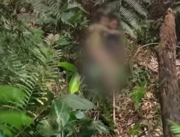 广东一男童深山走失13天，1000多人次搜山，最终被警犬找到