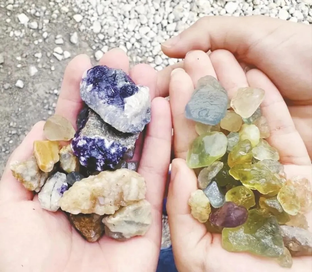 此地突然被上百人涌入捡"宝石"，沪A牌照等私家车排成长龙！有人担忧…