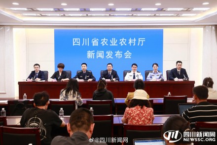 批量“添丁”!四川两大“水中大熊猫”实现天然水域繁育突破 批量“添丁”!四川两大“水中大熊猫”实现天然水域繁育突破