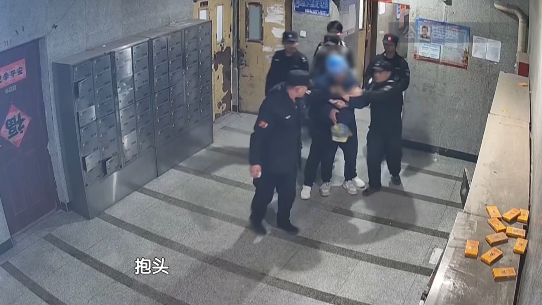 北京警方刑拘1人：装修工冒充外卖员 多次入室盗窃
