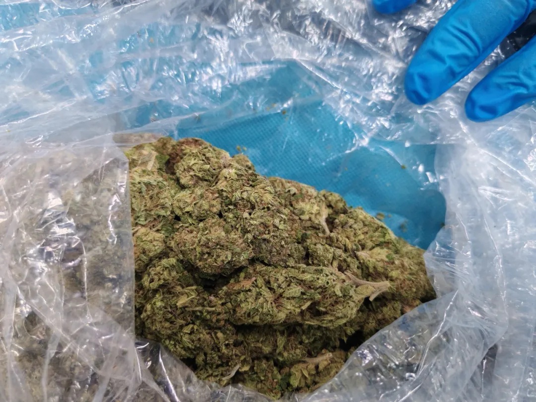 麻没?麻了 麻没?麻了