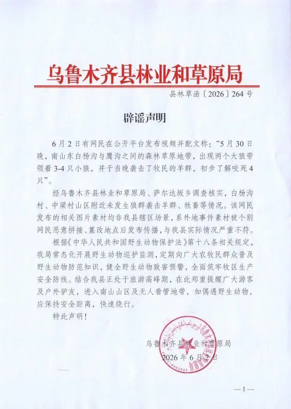 乌鲁木齐南山有狼出没袭击羊群？官方回应→