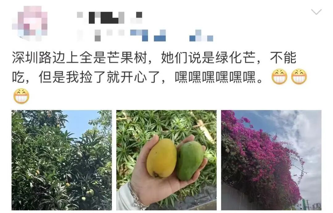 可能有毒！深圳路边大爆发，很多人捡到，网友称撕开巨香！官方紧急提醒：别吃