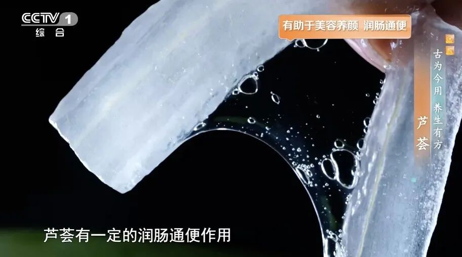 它被称为“天然青霉素”!夏天常用,抑菌消炎、美容抗衰老、通便,但吃不对有危险! 它被称为“天然青霉素”!夏天常用,抑菌消炎、美容抗衰老、通便,但吃不对有危险!