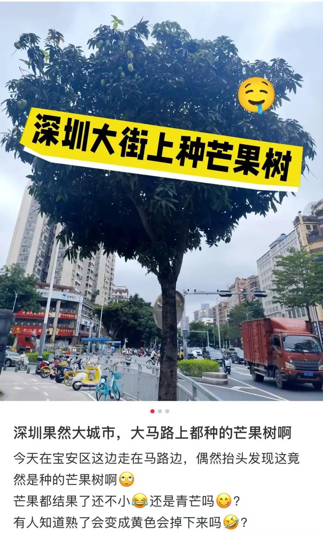 可能有毒！深圳路边大爆发，很多人捡到，网友称撕开巨香！官方紧急提醒：别吃