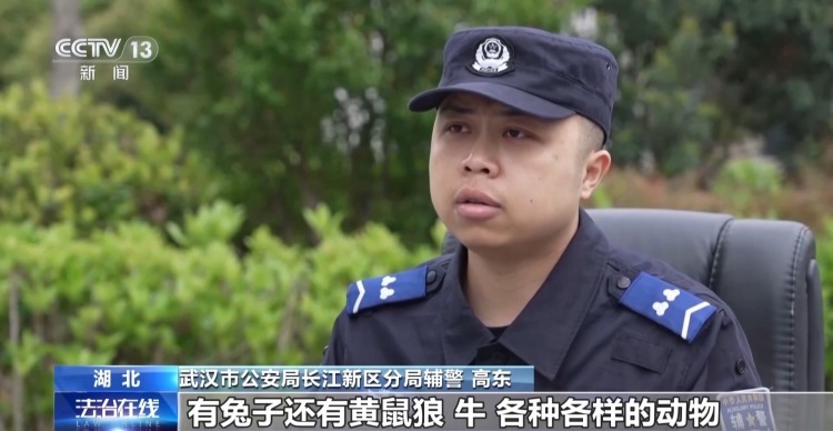 八旬老人走失 民警连夜搜救5个小时找回