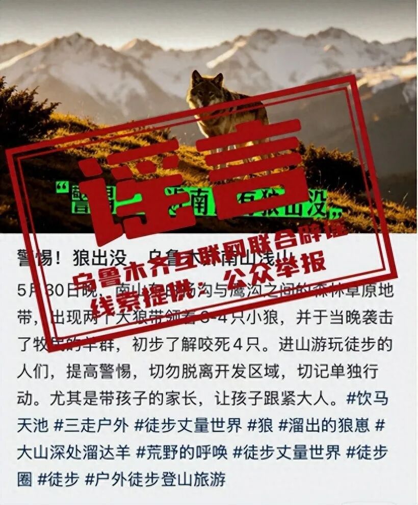 乌鲁木齐南山有狼出没袭击羊群？官方回应→