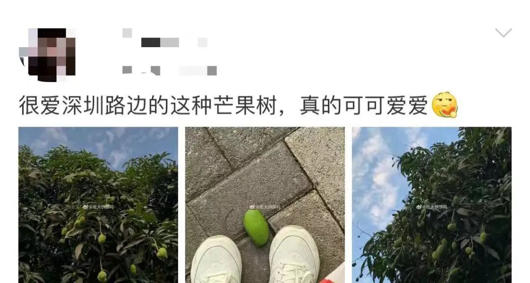 可能有毒！深圳路边大爆发，很多人捡到，网友称撕开巨香！官方紧急提醒：别吃