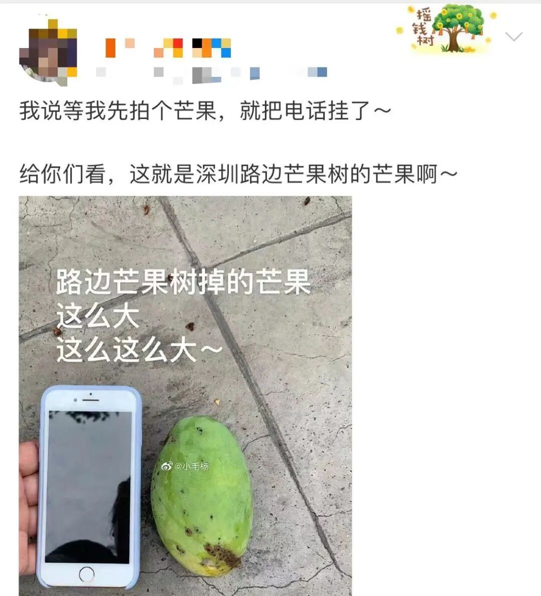 可能有毒！深圳路边大爆发，很多人捡到，网友称撕开巨香！官方紧急提醒：别吃