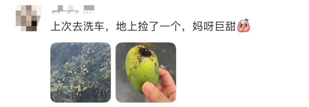可能有毒！深圳路边大爆发，很多人捡到，网友称撕开巨香！官方紧急提醒：别吃