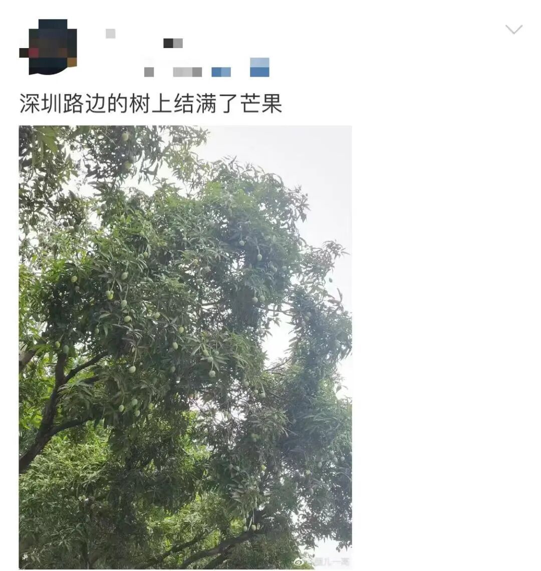 可能有毒！深圳路边大爆发，很多人捡到，网友称撕开巨香！官方紧急提醒：别吃