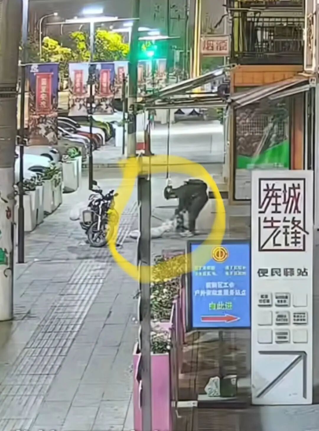 四川一柴犬凌晨马路边等主人下班时，被男子用弩射中，将其拖着装入白色口袋离开