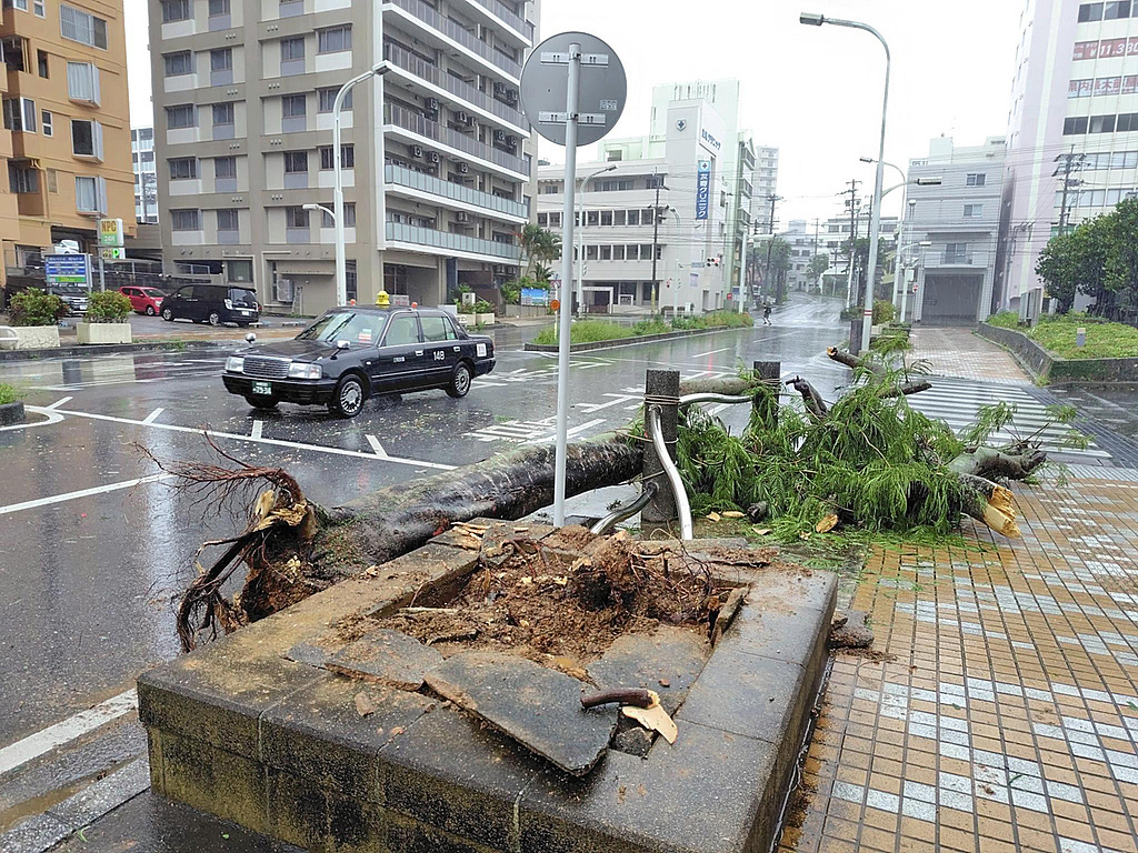 受台风“蔷薇”影响 日本和歌山县发布最高等级5级警戒