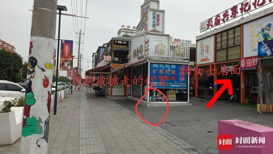 四川一柴犬凌晨马路边等主人下班时，被男子用弩射中，将其拖着装入白色口袋离开