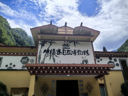 野外大熊猫的数量是怎么数出来的？