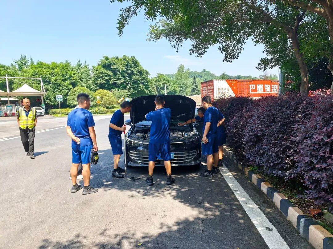 女子高速开车，挡风玻璃外突现一条蛇：人都要吓晕了！在重庆一服务区紧急停车求救