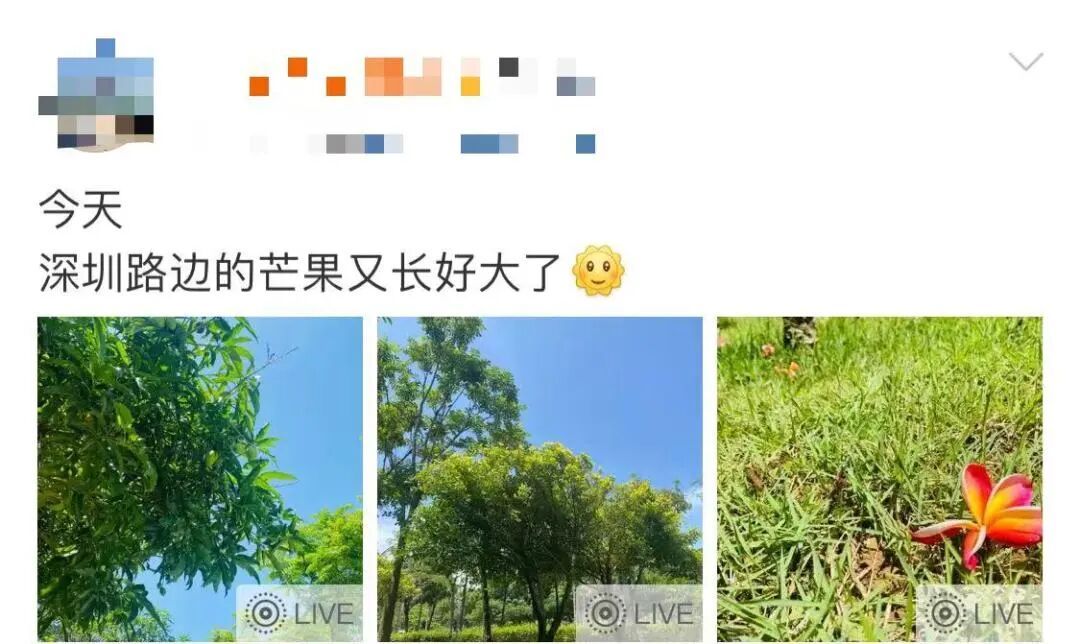 可能有毒！深圳路边大爆发，很多人捡到，网友称撕开巨香！官方紧急提醒：别吃