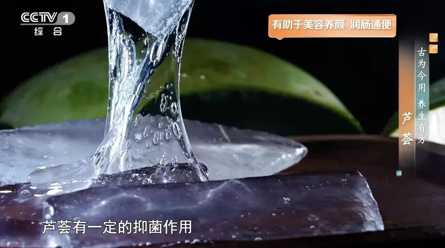 它被称为“天然青霉素”!夏天常用,抑菌消炎、美容抗衰老、通便,但吃不对有危险! 它被称为“天然青霉素”!夏天常用,抑菌消炎、美容抗衰老、通便,但吃不对有危险!