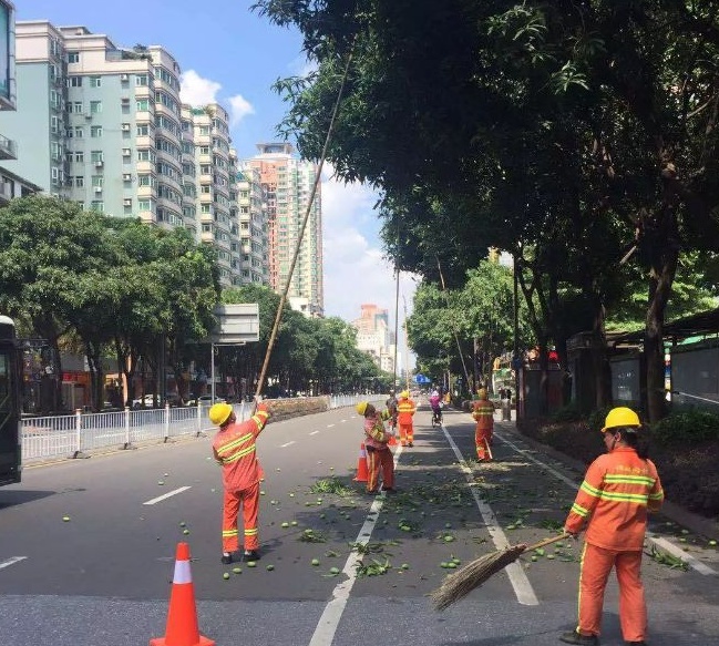 可能有毒！深圳路边大爆发，很多人捡到，网友称撕开巨香！官方紧急提醒：别吃