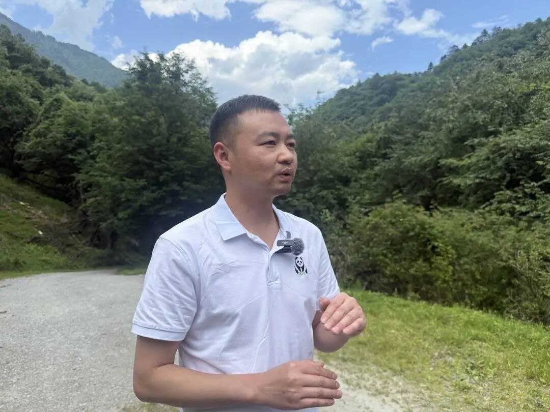 在国家公园，他们怎么和大熊猫做朋友？
