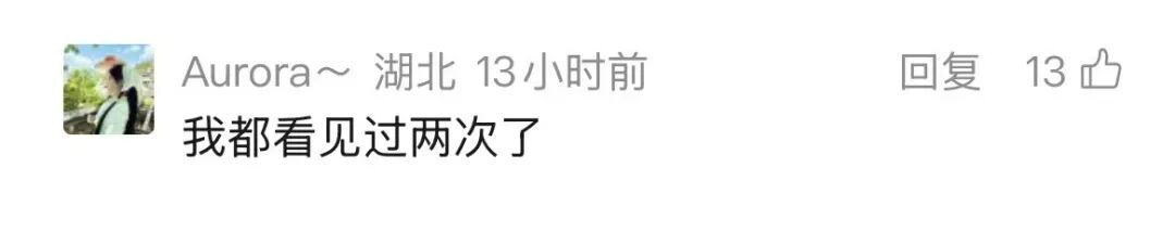武汉长江大桥下出现惊喜一幕，“一群江豚，大约持续10分钟”，海事人员：首次亲眼目睹