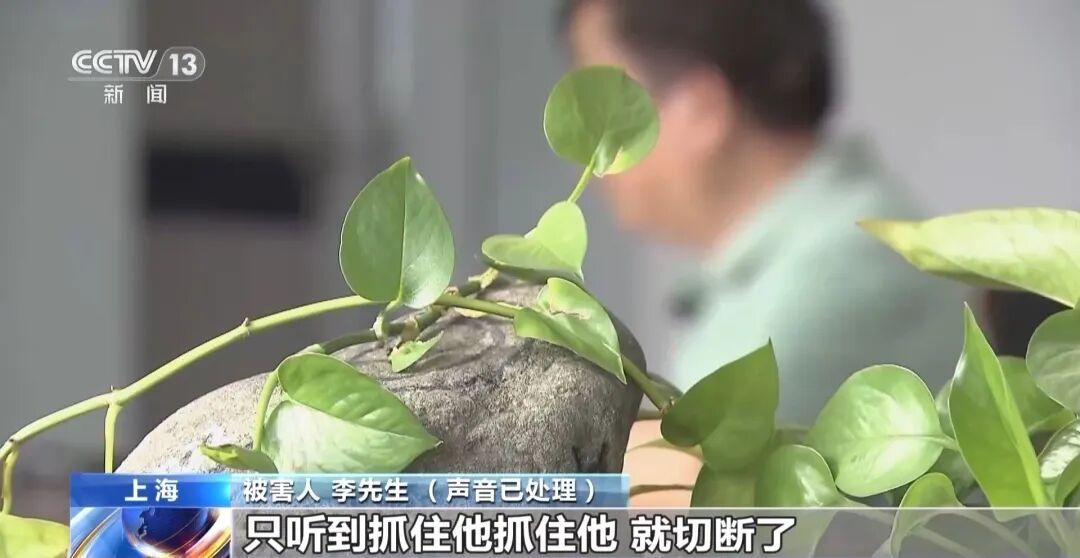 “30人拼单，29人是托儿”？警方揭秘“赌石”直播间诈骗套路
