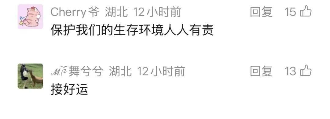 武汉长江大桥下出现惊喜一幕，“一群江豚，大约持续10分钟”，海事人员：首次亲眼目睹