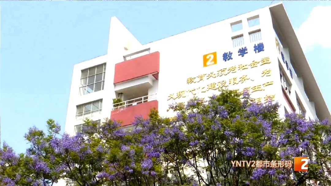 别让你的爱，成了孩子的“拉分项”！考前倒计时，专家：这些事千万别做