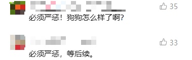 柴犬凌晨等主人下班，被男子用弩射中掳走！警方消息