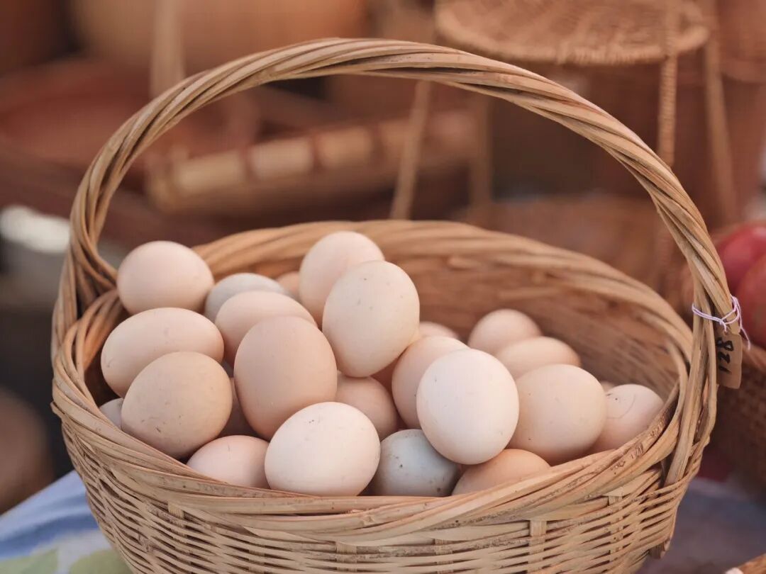 别再花冤枉钱！研究：这种食物才是真正的“脑黄金”，很多人白白丢掉