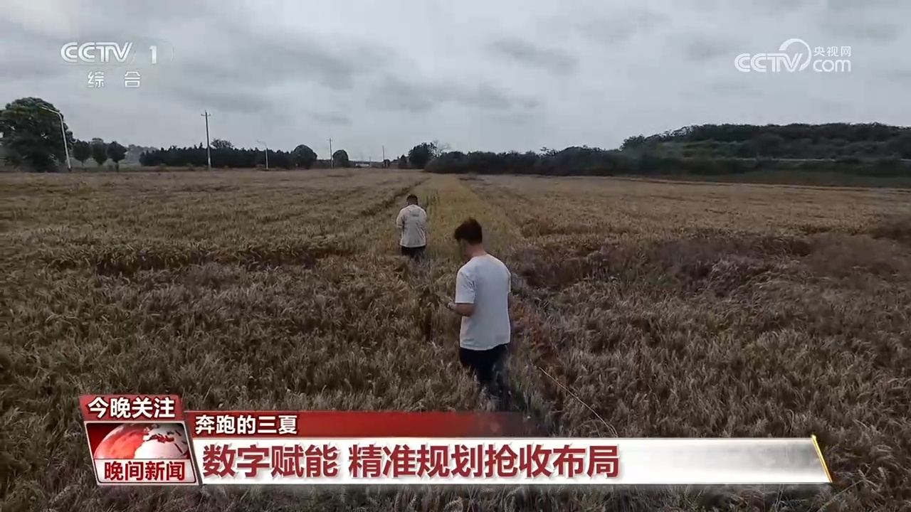 奔跑的三夏｜他们与雨赛跑 科技护航颗粒归仓